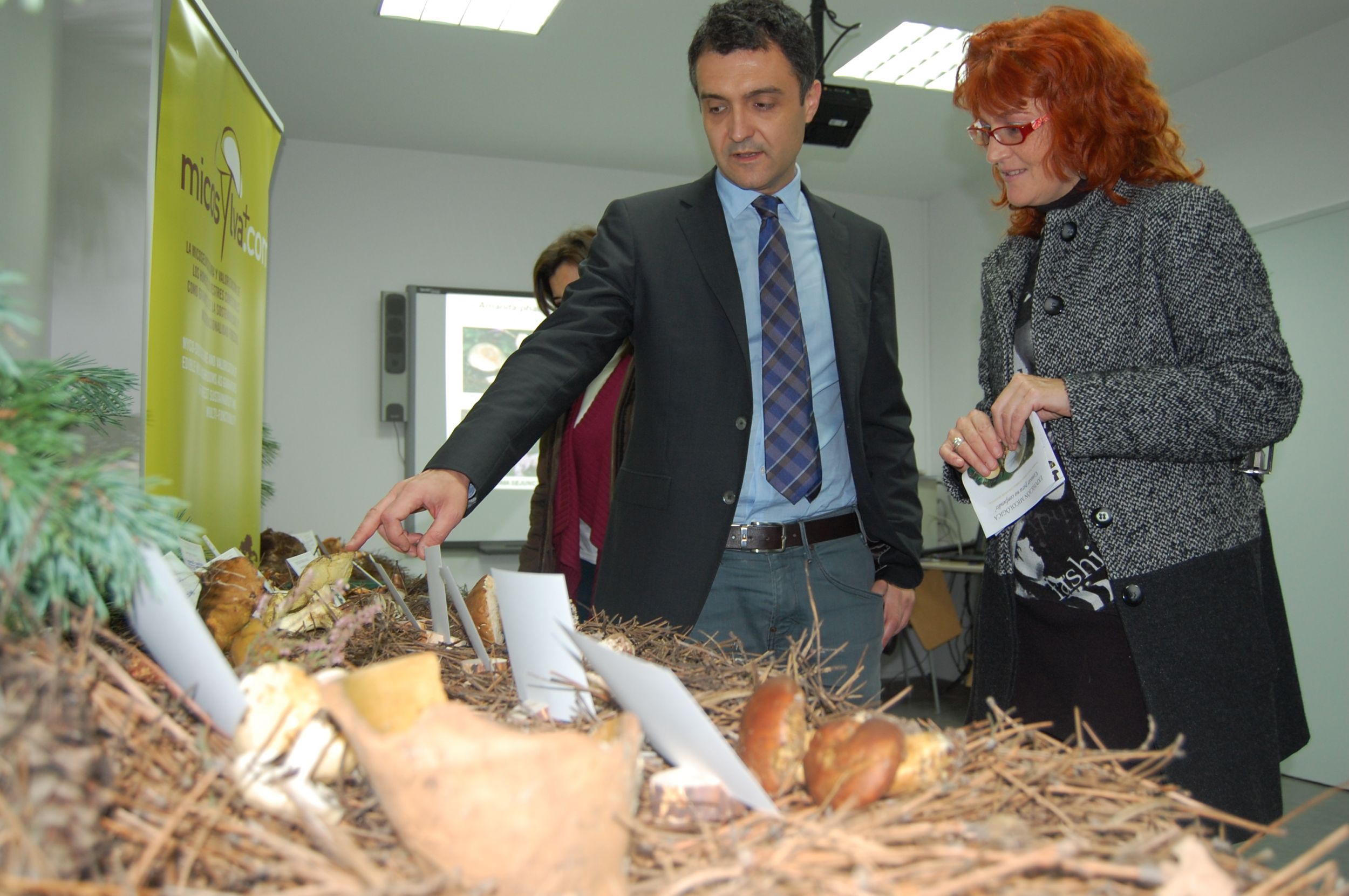 La exposición micológica de La Dehesa muestra más de 80 especies y reúne casos prácticos de ejemplares tóxicos y comestibles con similitudes