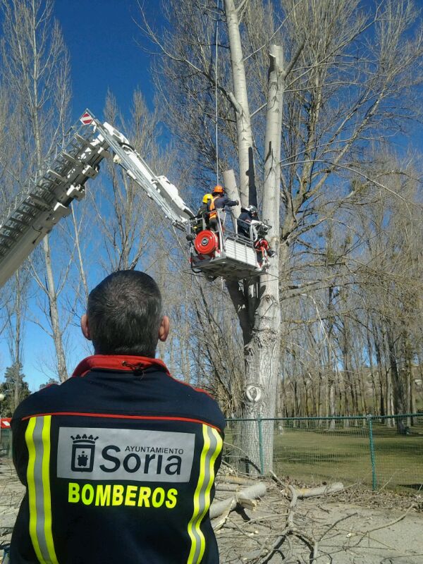 Los Bomberos participan en un nuevo curso de formación en Valonsadero con material para retirar árboles