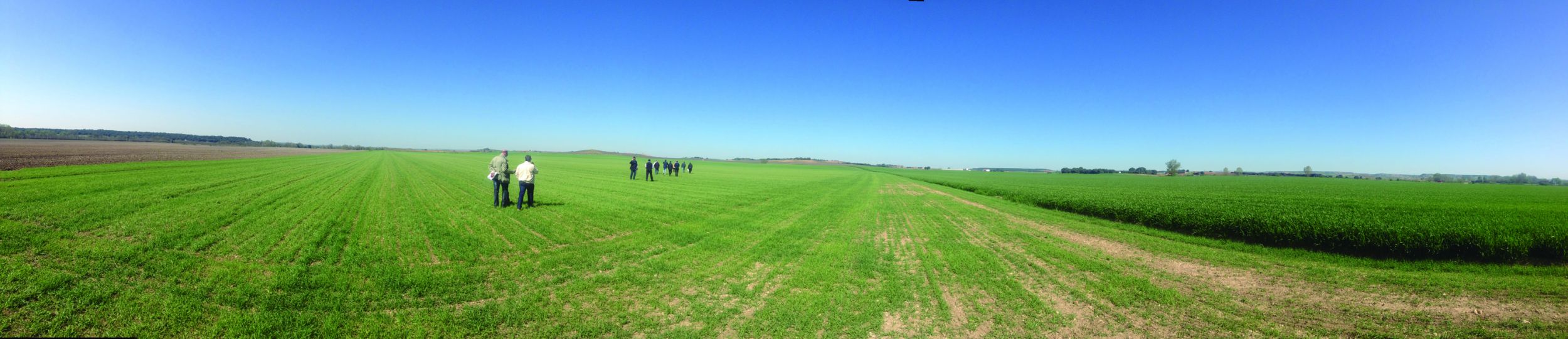 Demoagro: 50 hectáreas de campo para probar cerca de 50 marcas de maquinaria 