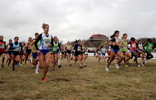 Soria, siguiente cita en el circuito internacional IAAF de campo a través