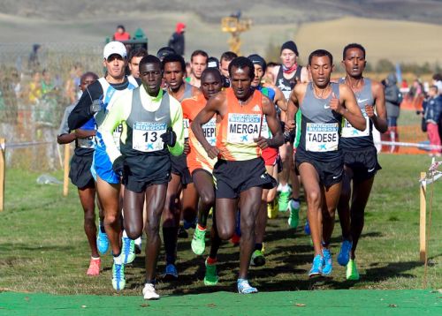 La batalla africana está servida en el  Monte Valonsadero