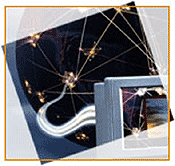  PLAYSTATION SE VISTE DE ROJIBLANCO 